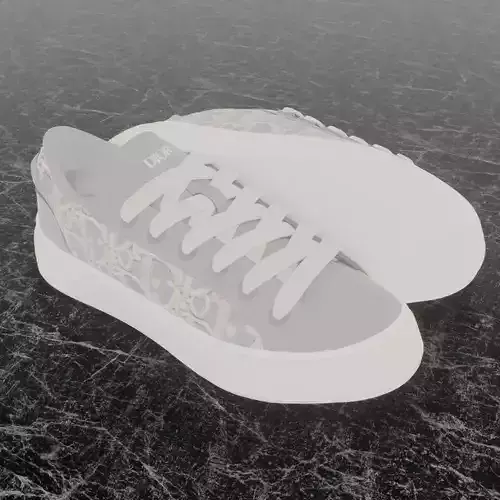 CHRISTIAN DIOR B33 3D SHOES