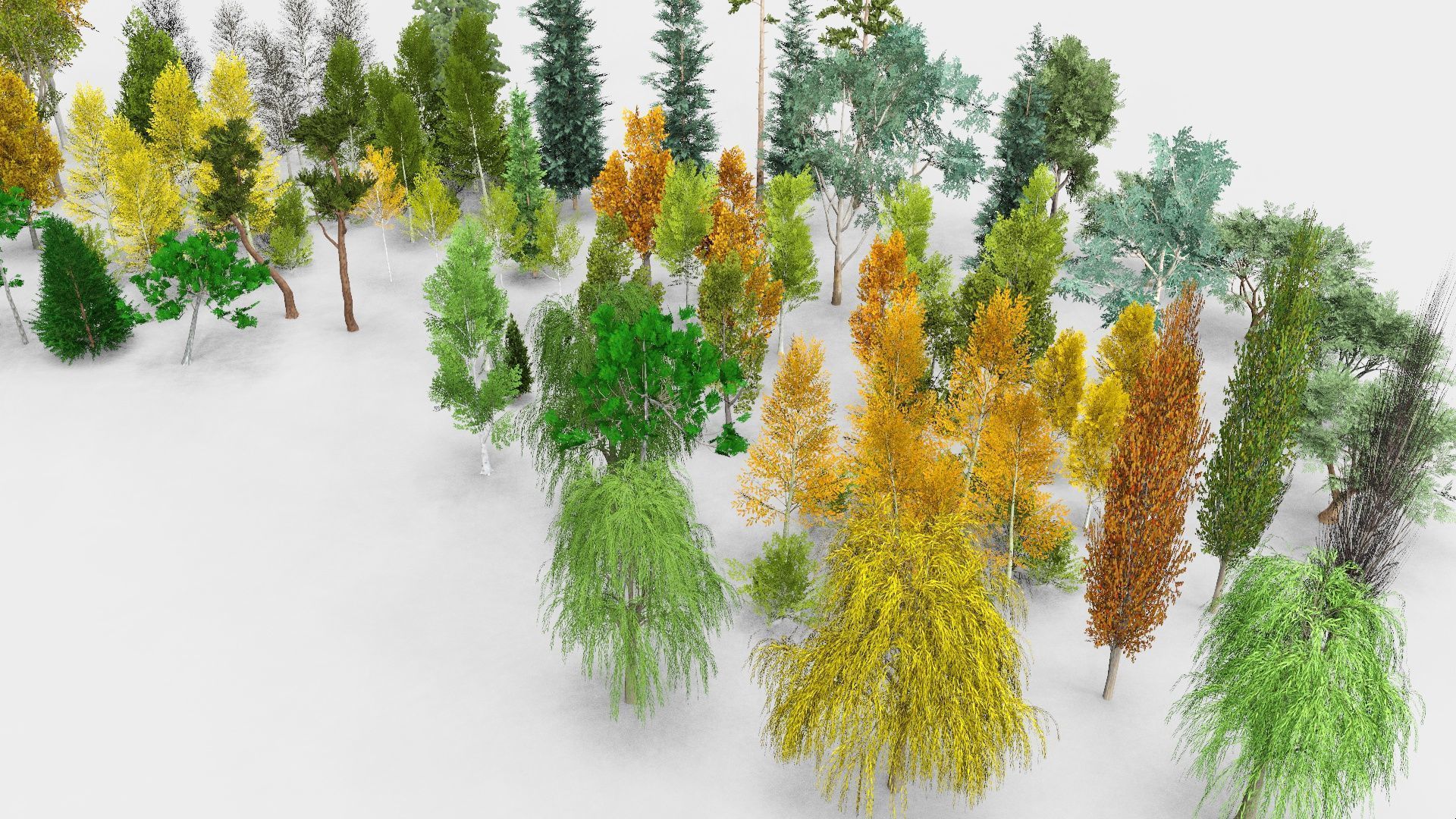 3D model Low Poly Temperate Trees VR / AR / low-poly | CGTrader