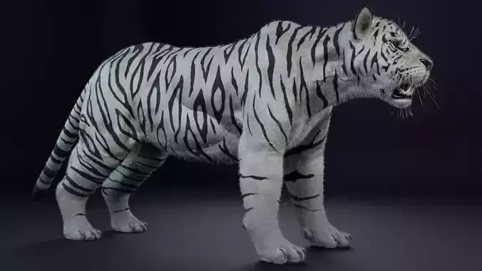 White Tiger realitic