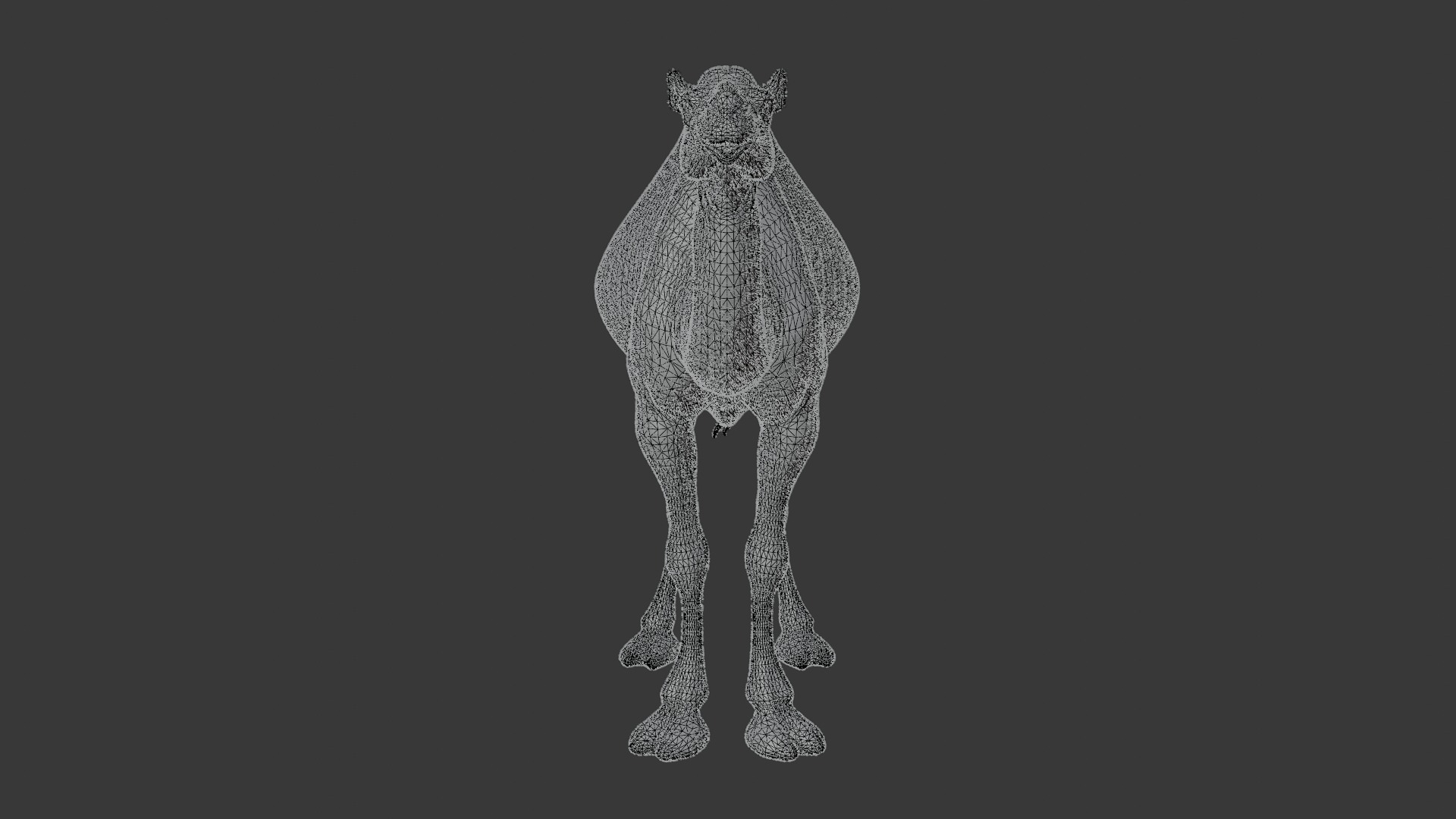 Dromedary Camel Low-poly 3D model_7