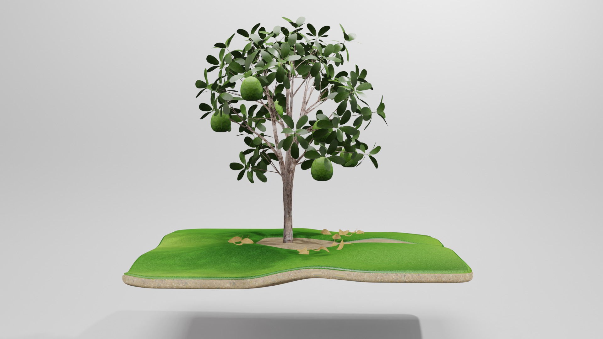 Guava tree 3D model_1