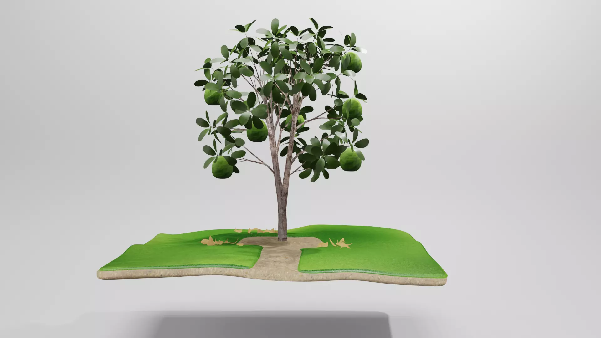 Guava tree 3D model_0