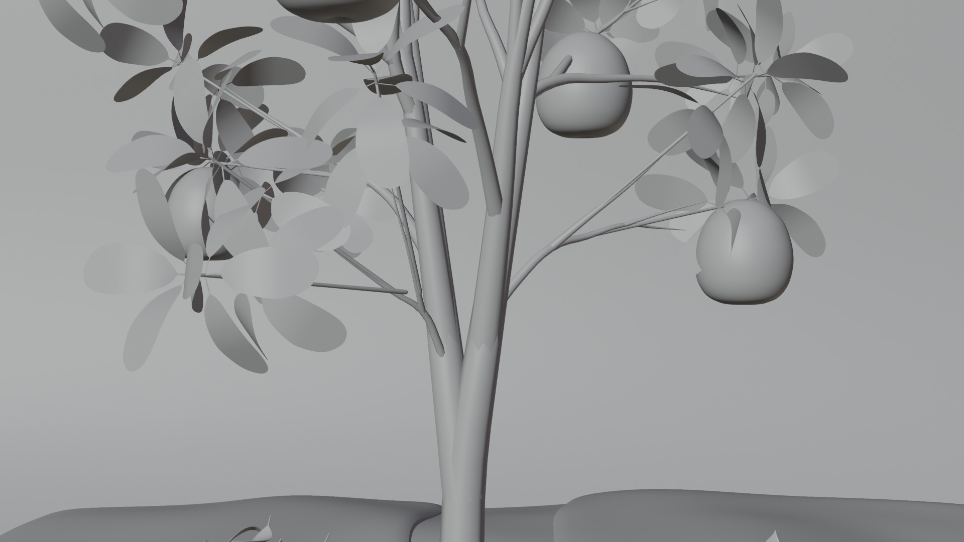 Guava tree 3D model_4