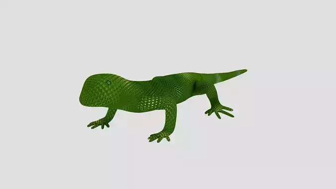 Reptile Lizard