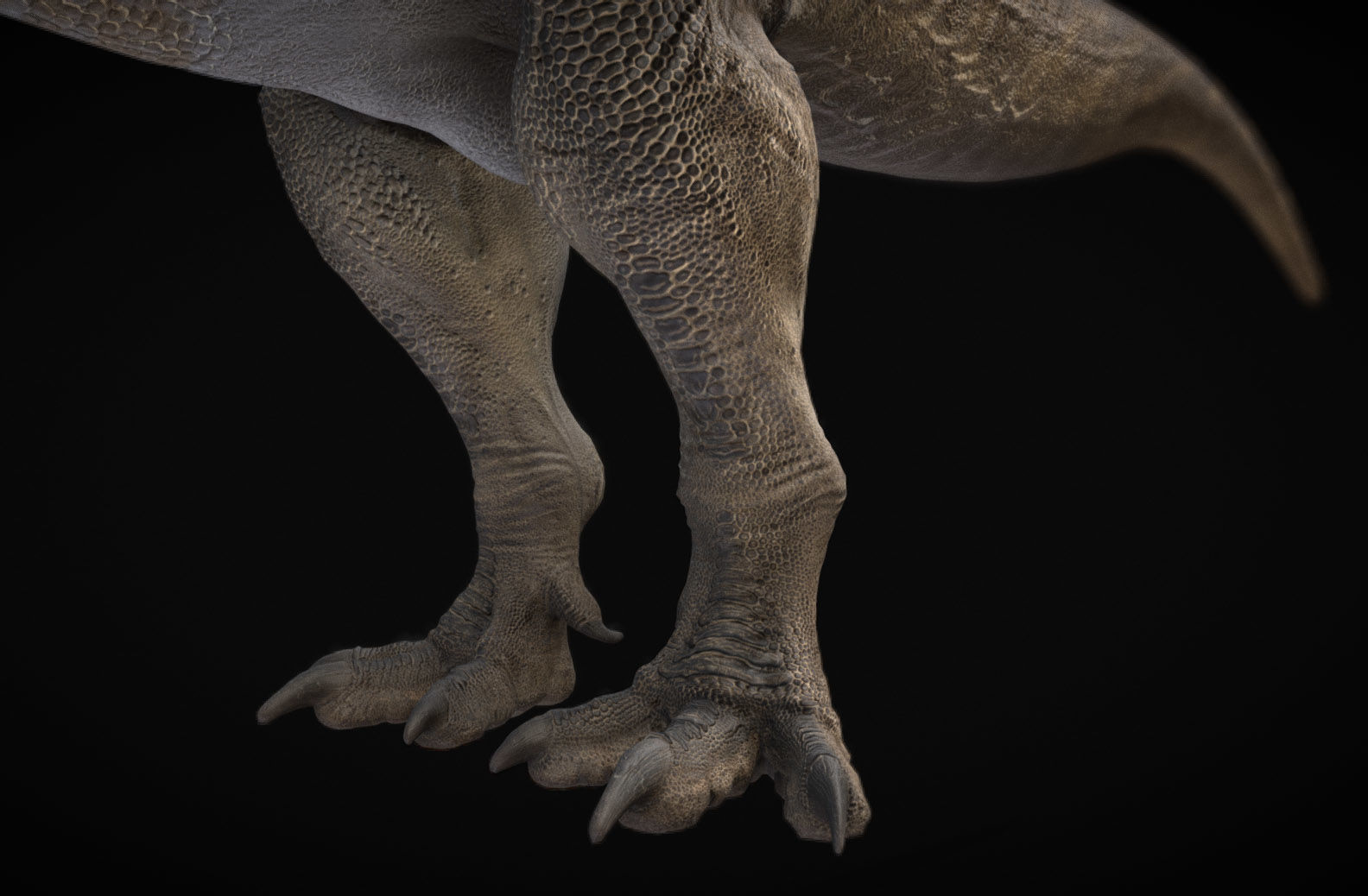 Torvosaurus Low-poly 3D model_3