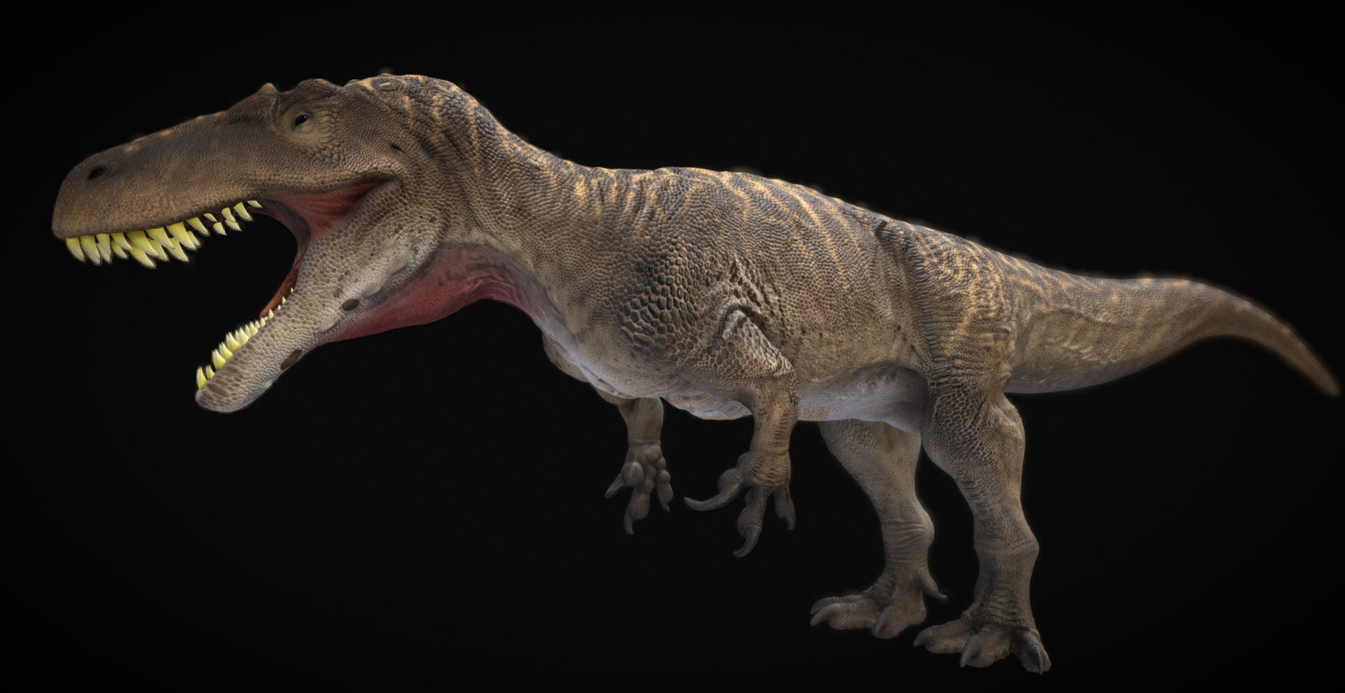 Torvosaurus Low-poly 3D model_5