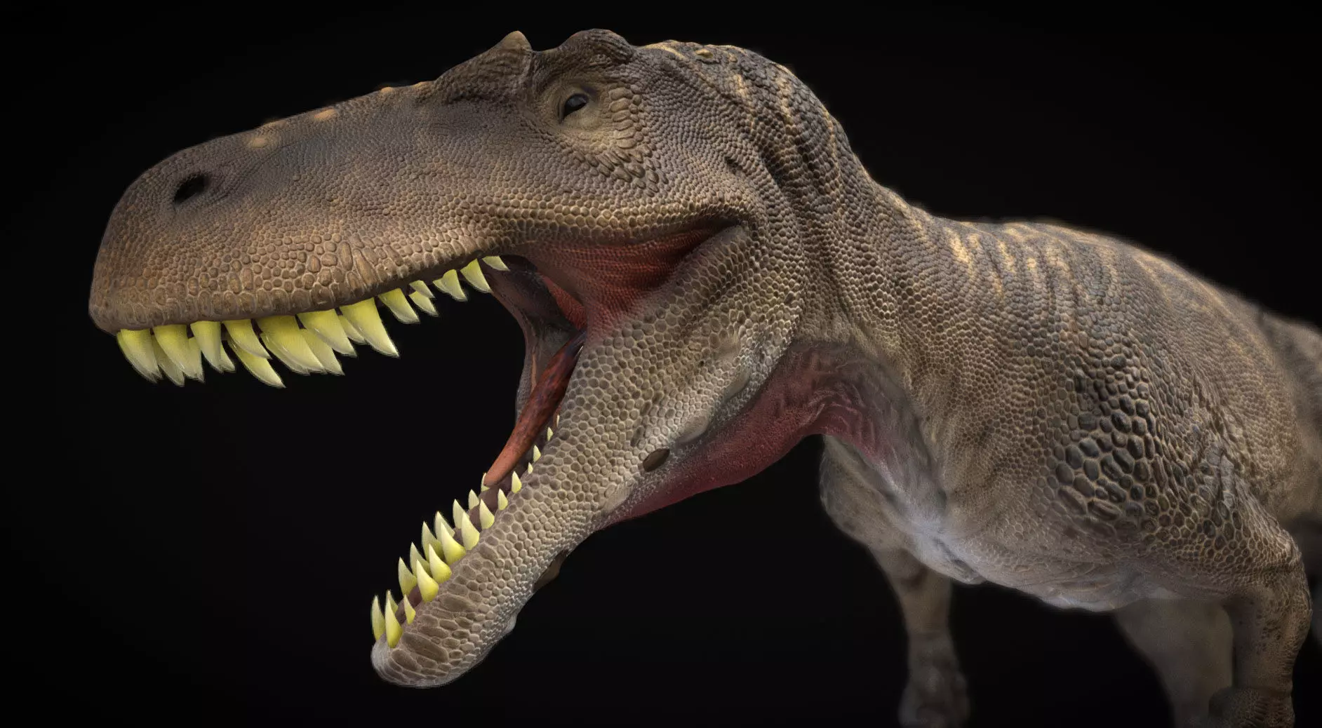 Torvosaurus Low-poly 3D model_0
