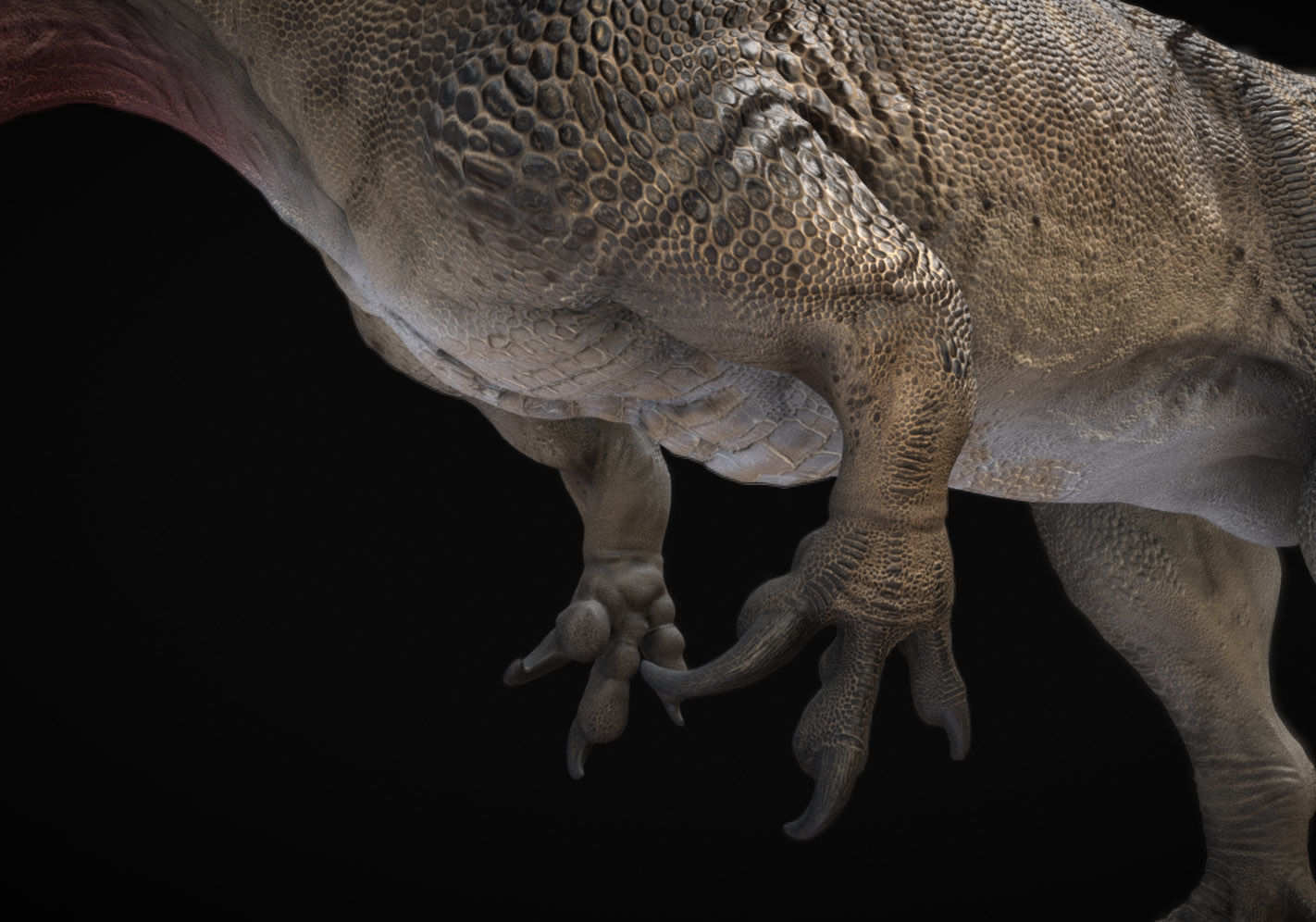 Torvosaurus Low-poly 3D model_2