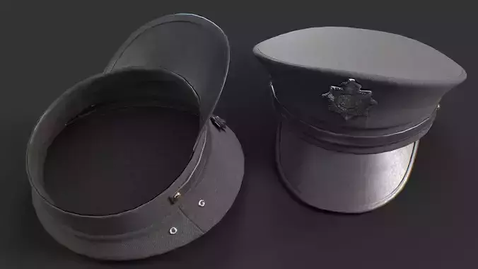 Funny Party Hats Police Hat