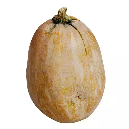 Butternut Pumpkin Low-poly 3D model