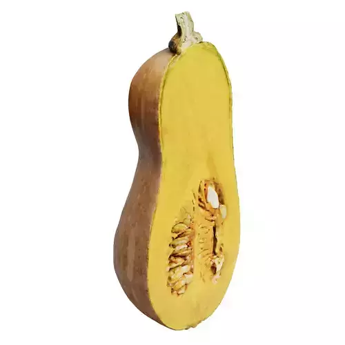 Butternut Pumpkin 03 Low-poly 3D model