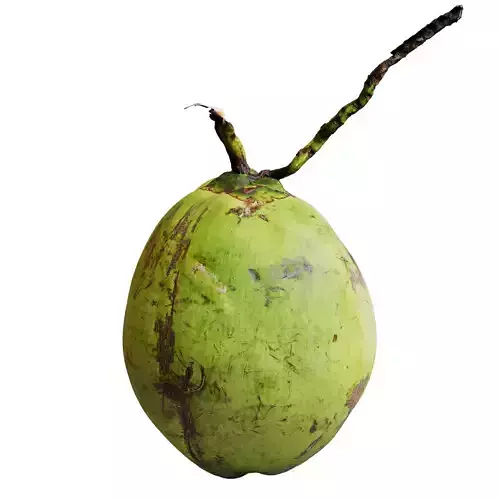 Coconut 01 Low-poly 3D model
