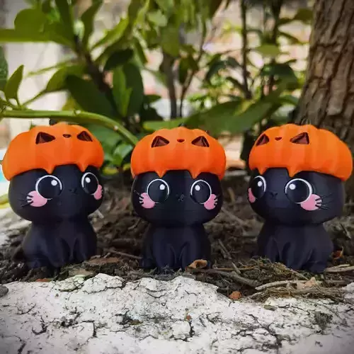 Halloween Special - Cute Kitty Cat