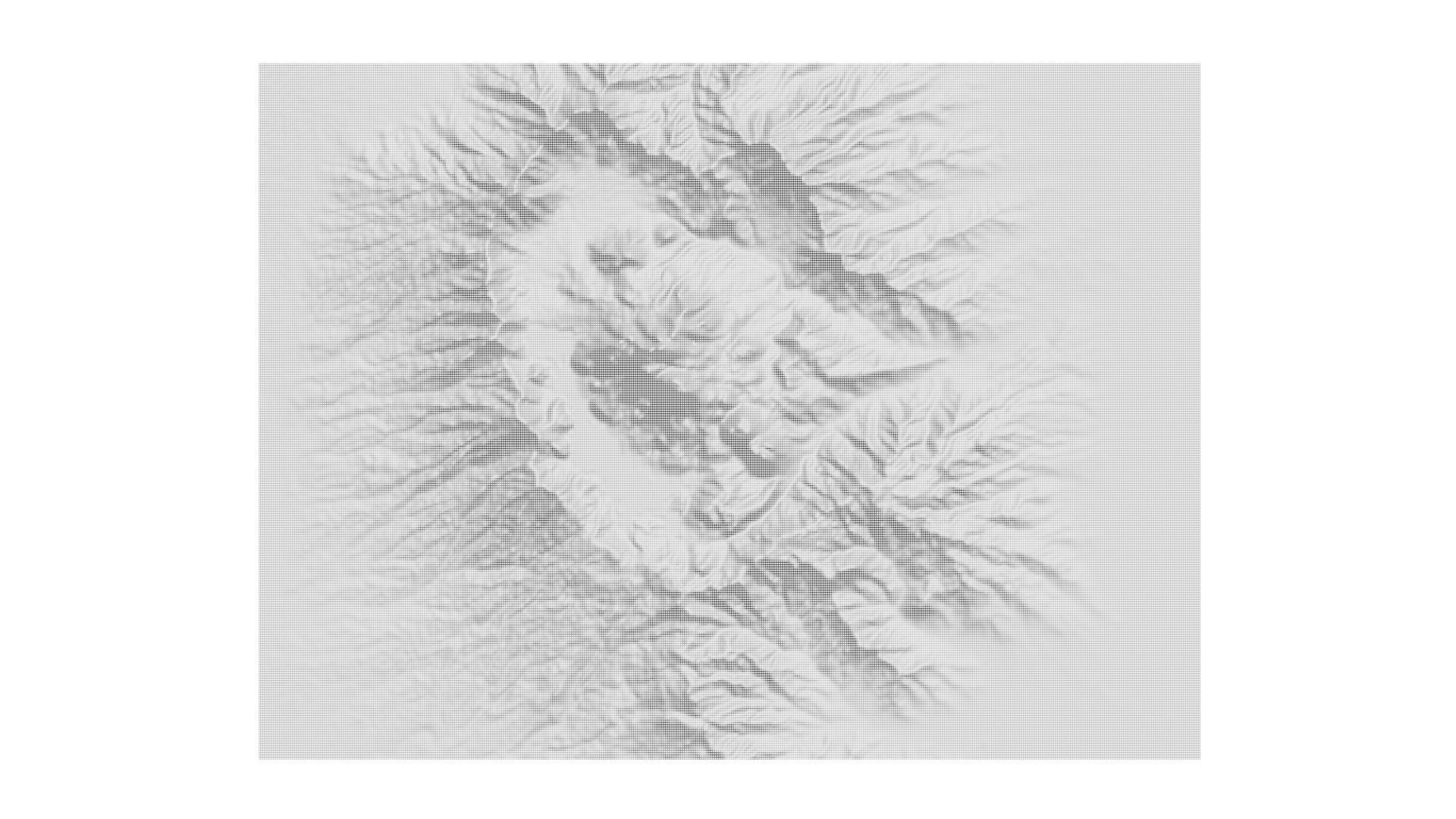 Fuji Mountains 3D model_16