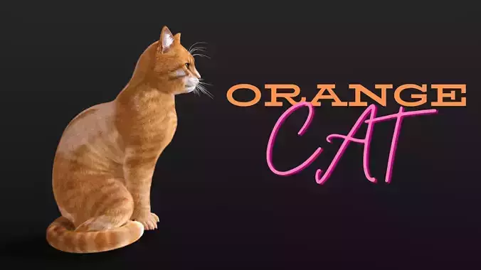 Orange cat