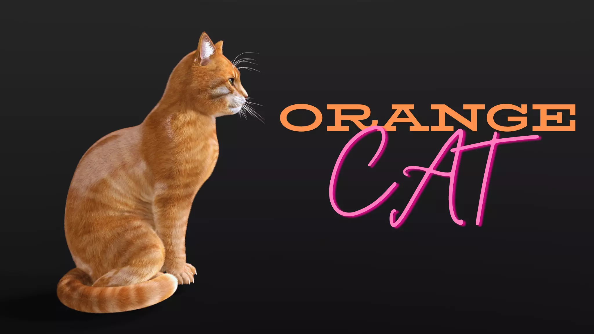 Orange cat Low-poly 3D model