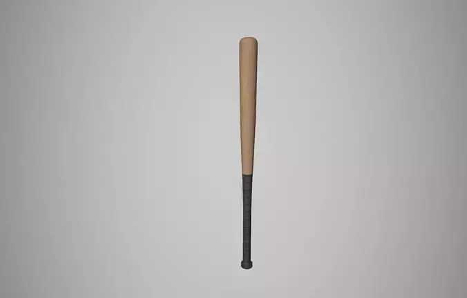 Baseball Bat