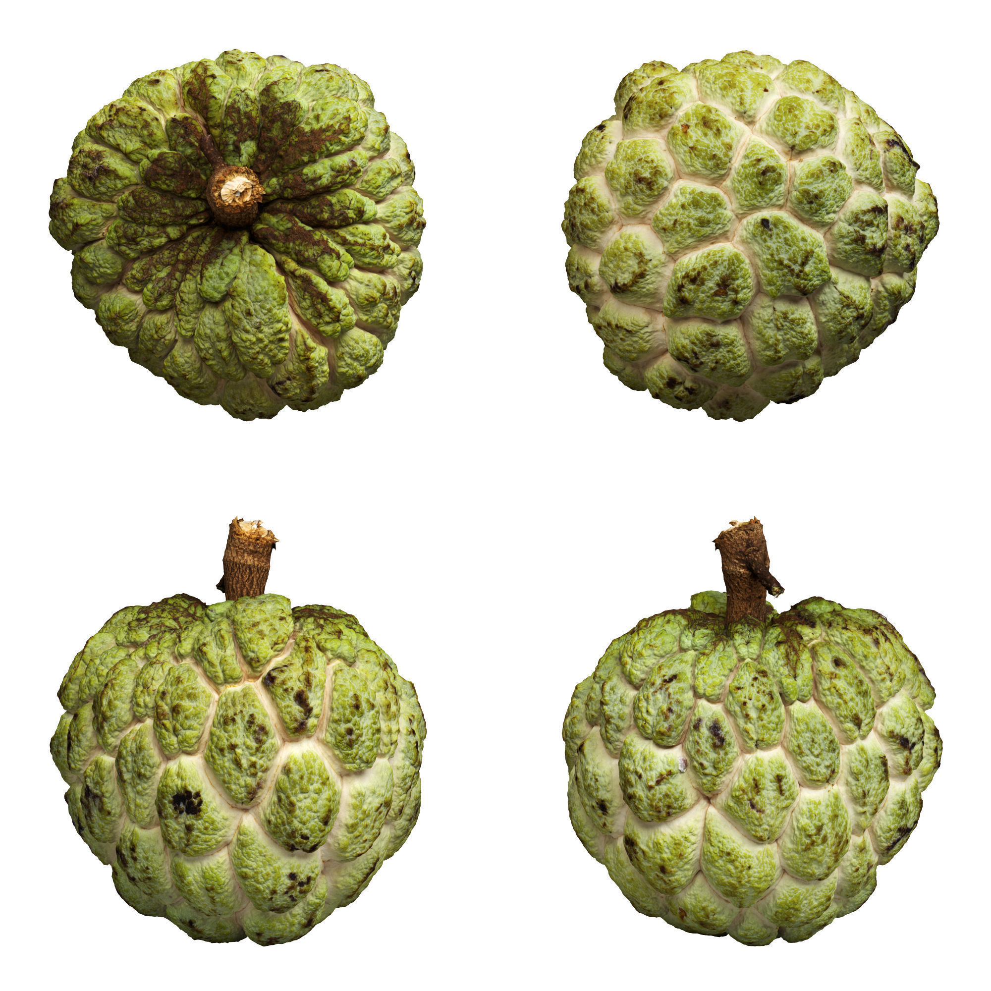 Custard Apple Low-poly 3D model_2