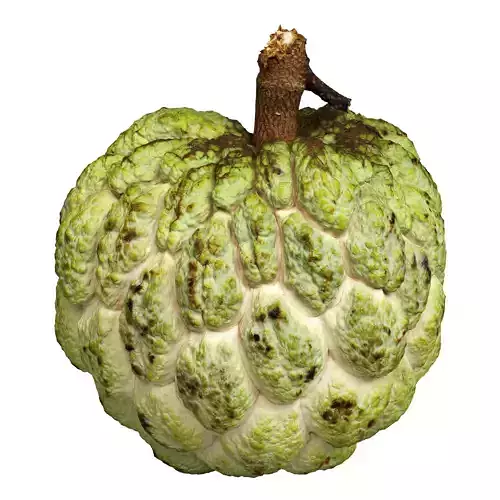 Custard Apple Low-poly 3D model
