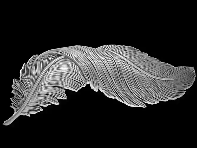 Feather relief