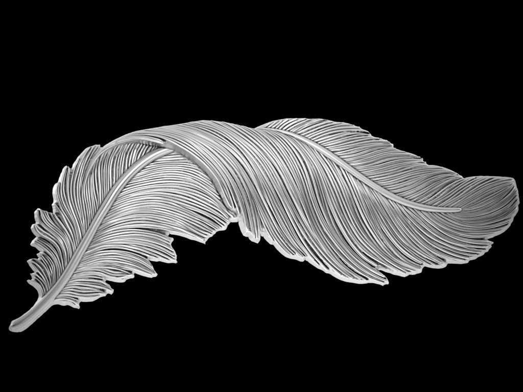 Feather relief 3D print model_3