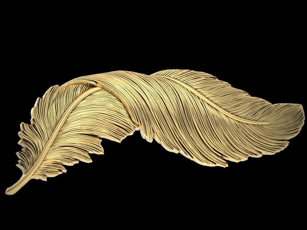 Feather relief 3D print model_1
