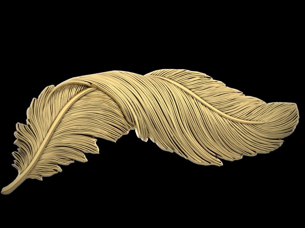Feather relief 3D print model_4