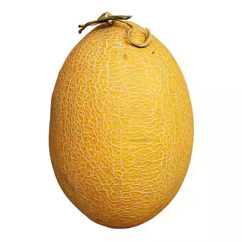 Galia Melons Low-poly 3D model