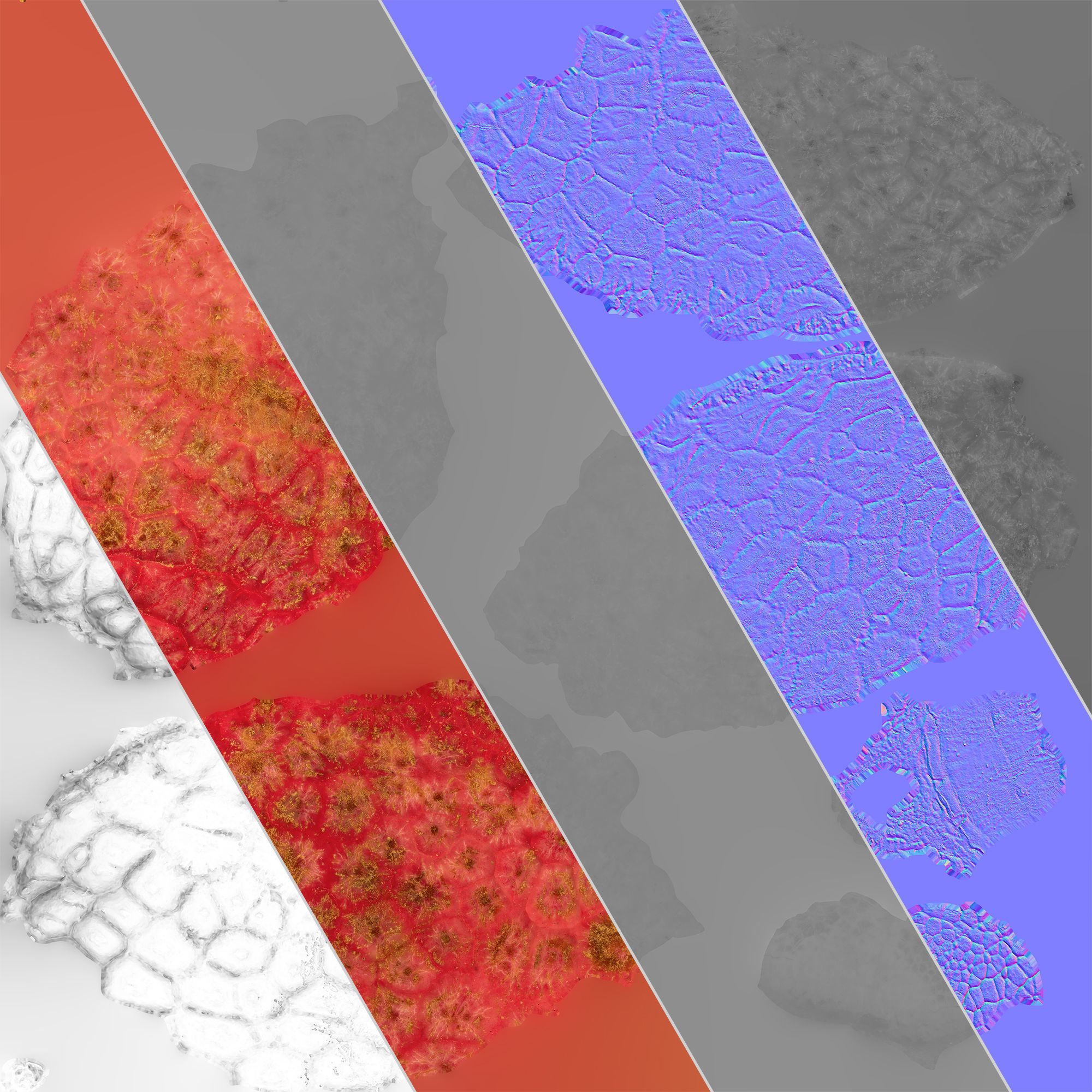 Litchi Fruit 02 Low-poly 3D model_5