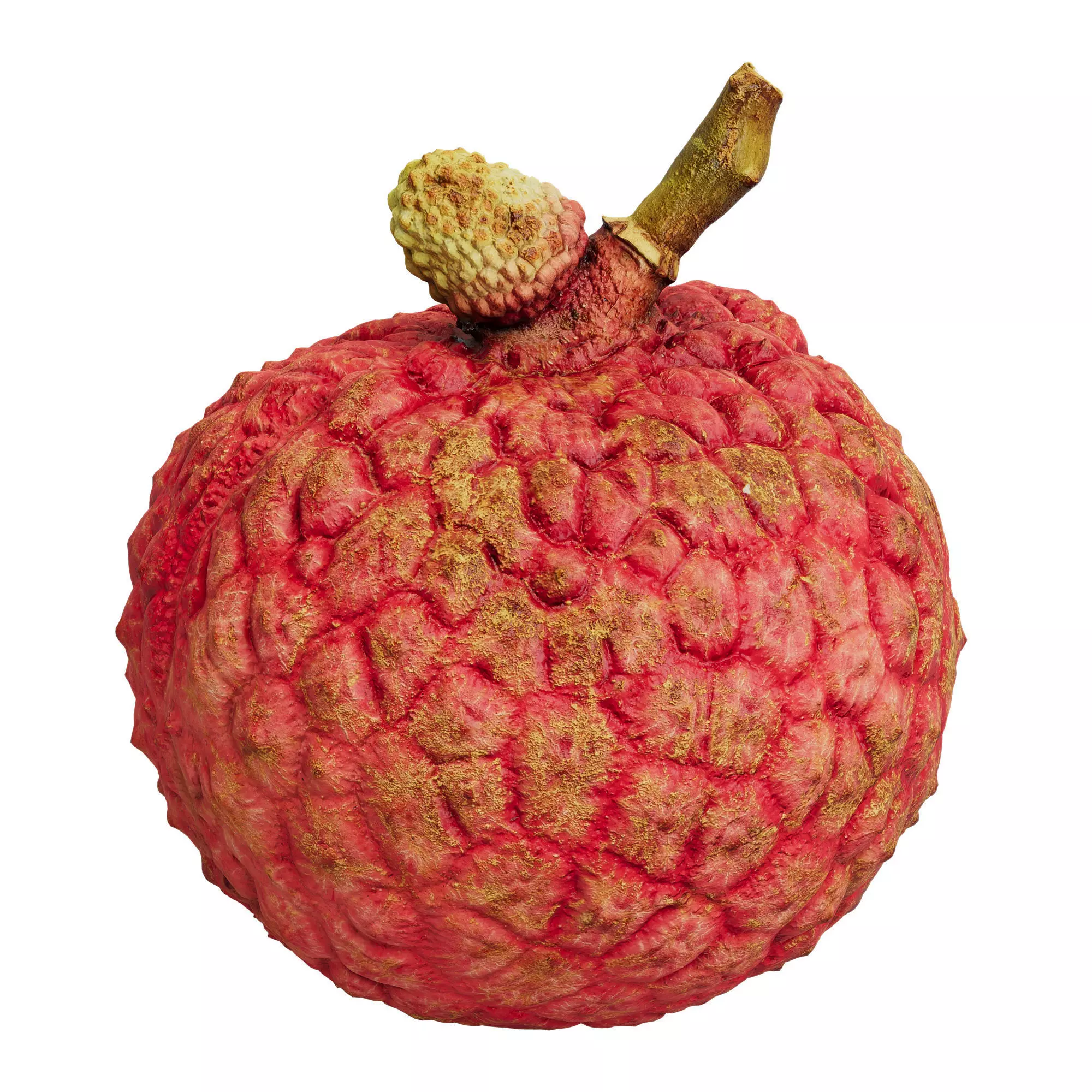 Litchi Fruit 02 Low-poly 3D model_0