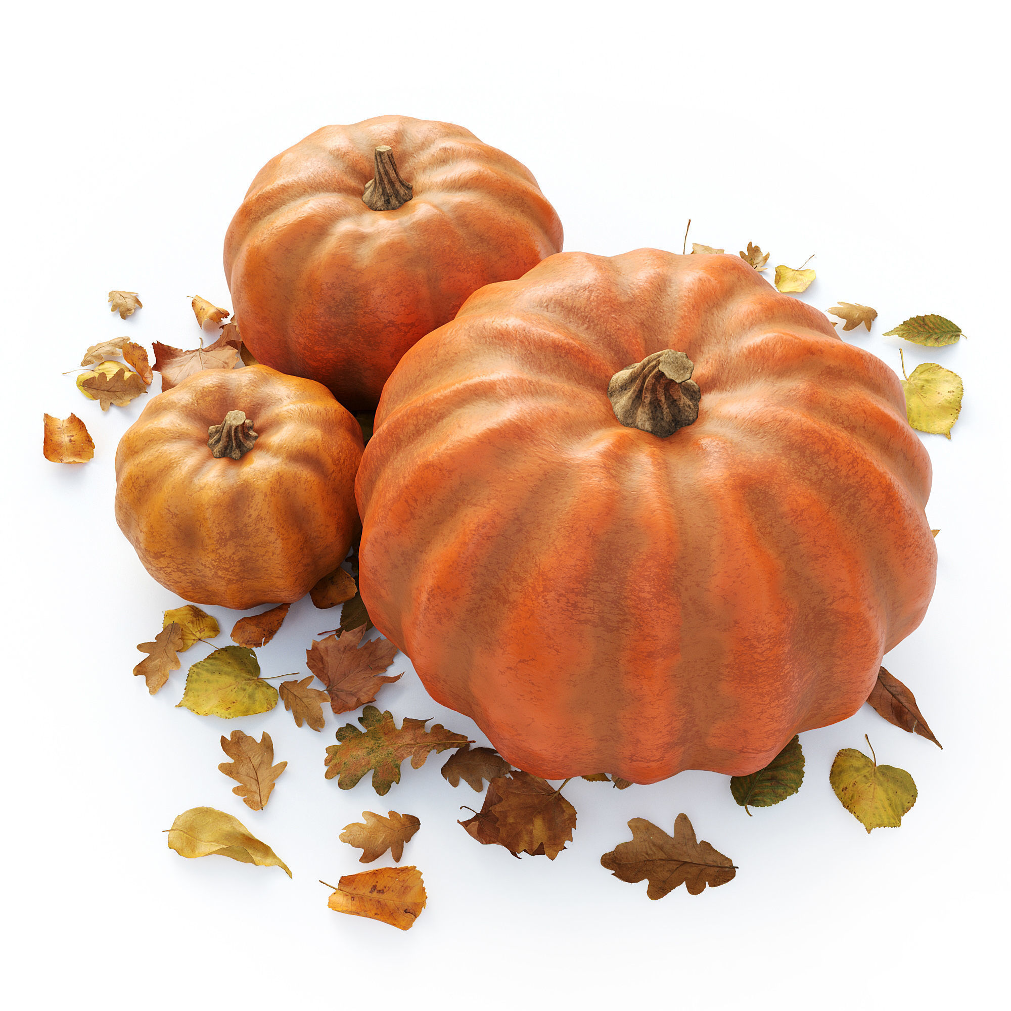 Set of pumpkins with leaves 3D model_2