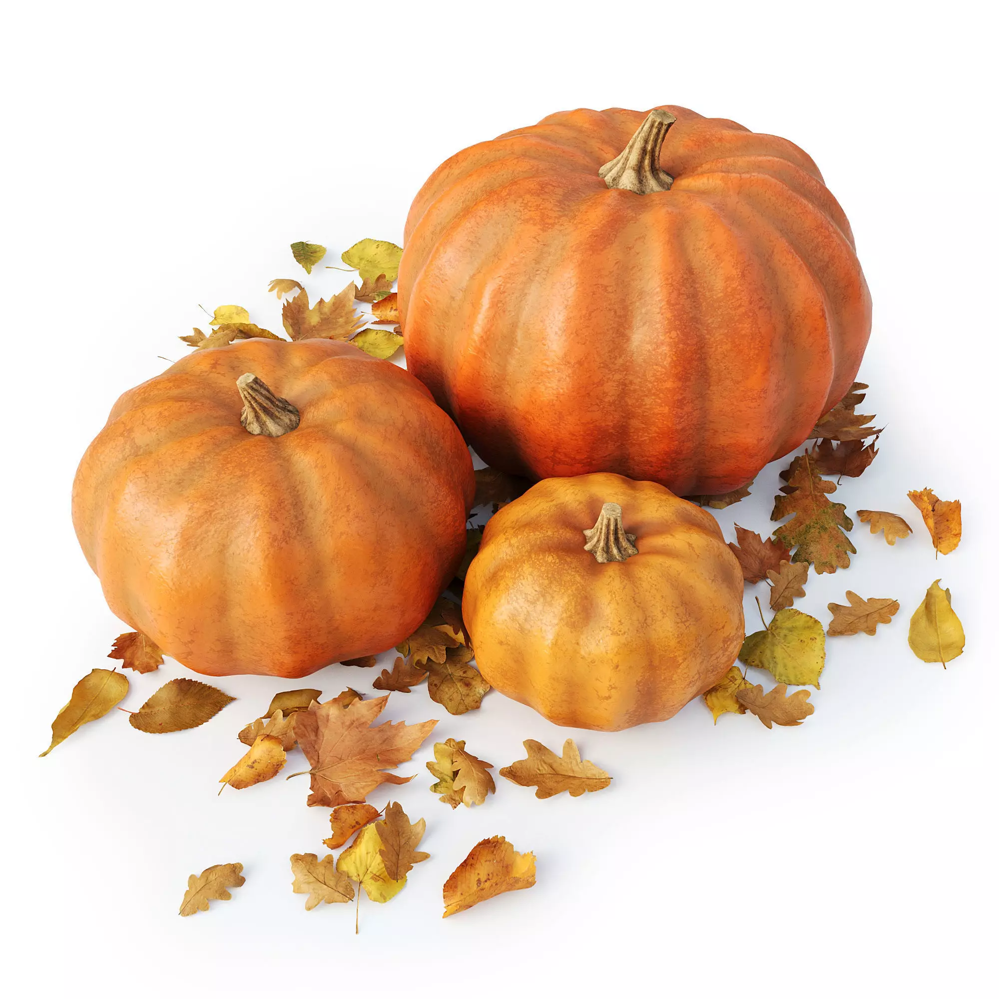 Set of pumpkins with leaves 3D model_0