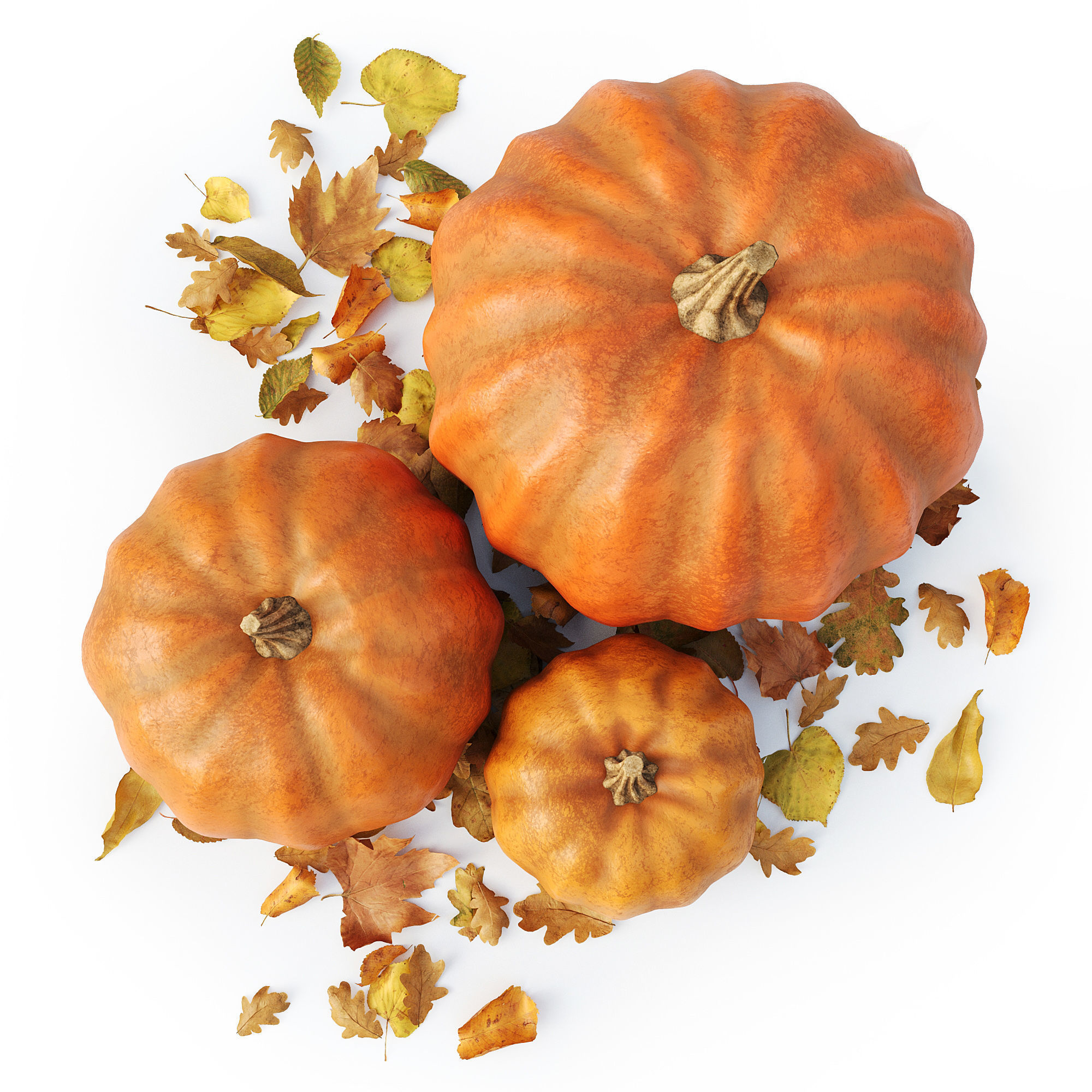 Set of pumpkins with leaves 3D model_1