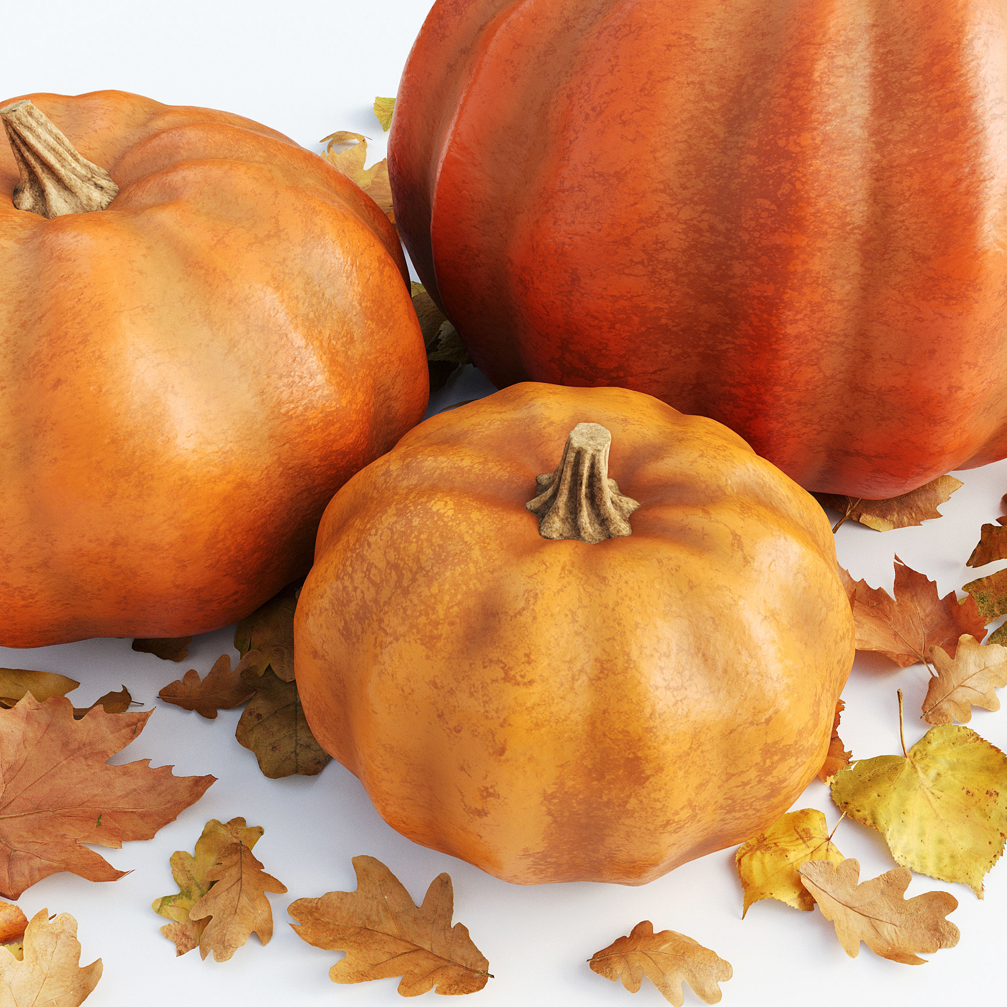 Set of pumpkins with leaves 3D model_5