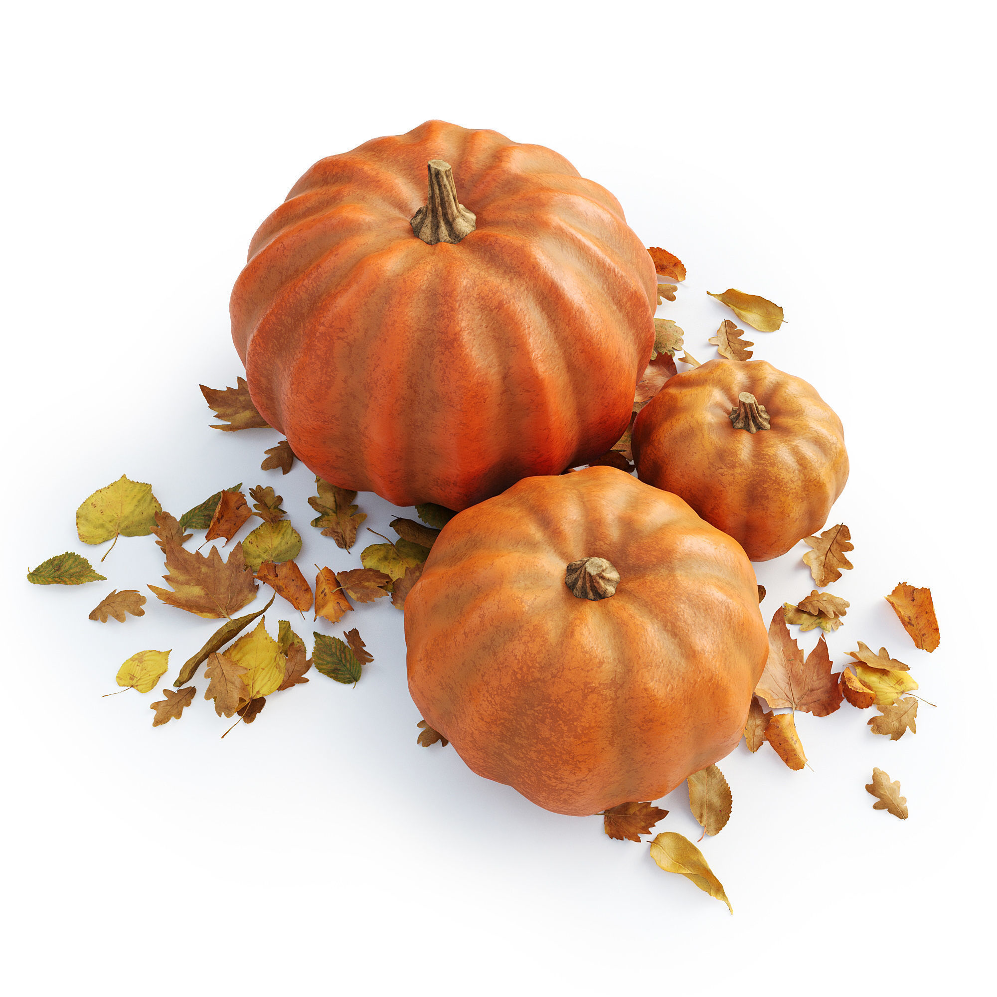 Set of pumpkins with leaves 3D model_3