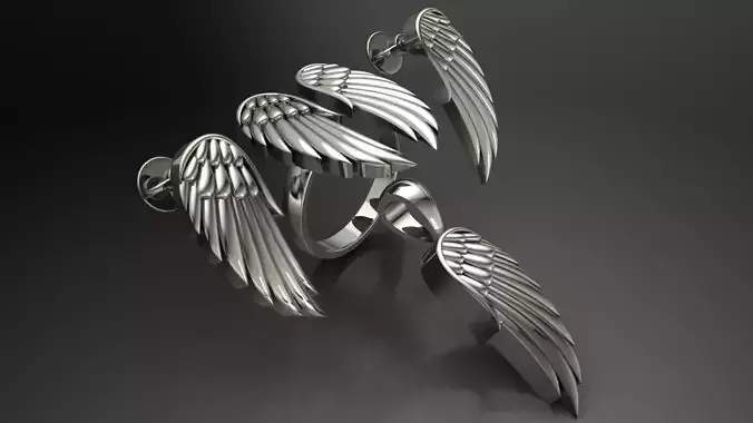 Wings Set Jewelery 3D printed model
