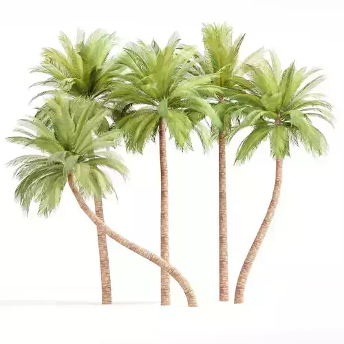 Low Poly Palm 3d Trees Collection Vol 280 Low-poly 3D model