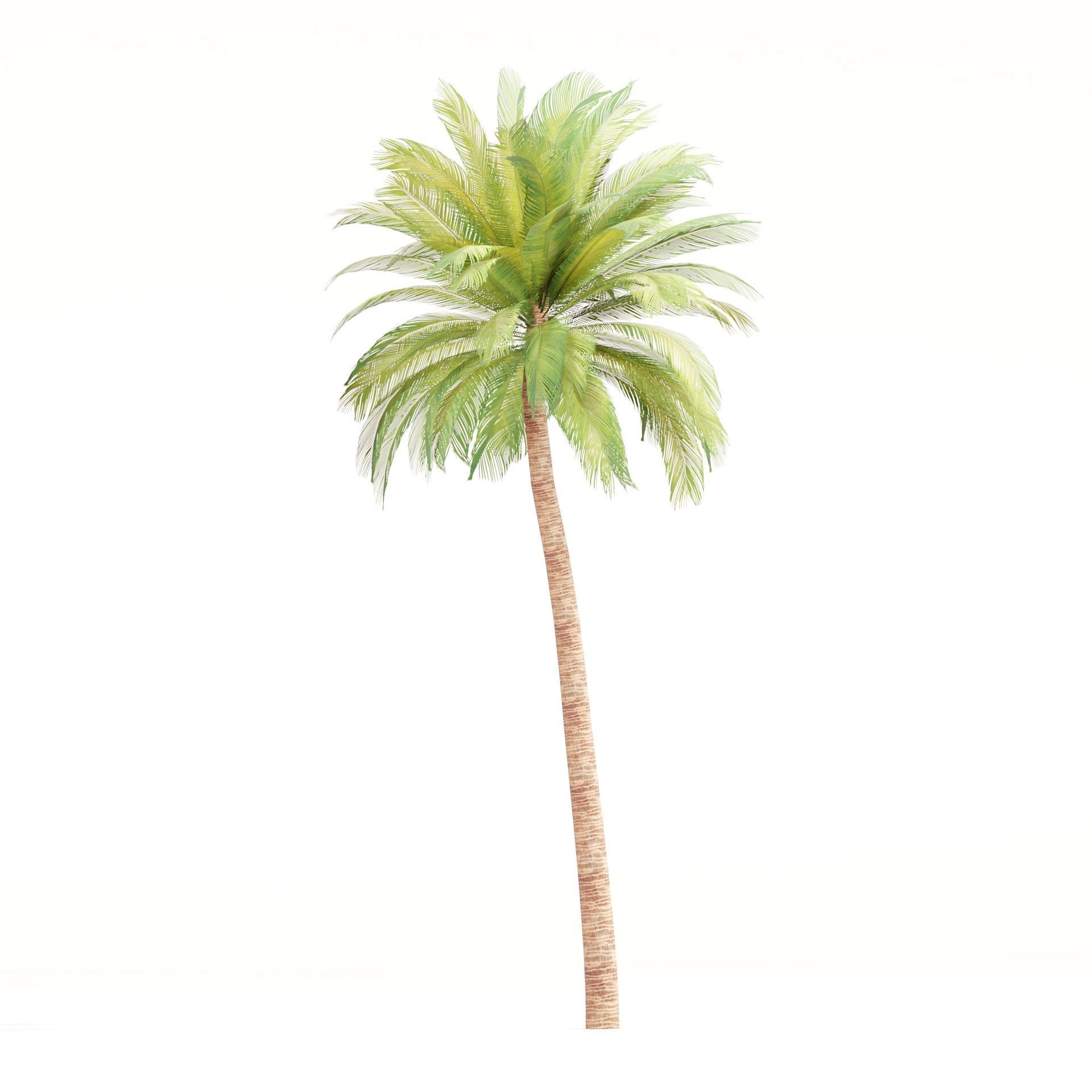 Low Poly Palm 3d Trees Collection Vol 280 Low-poly 3D model_3