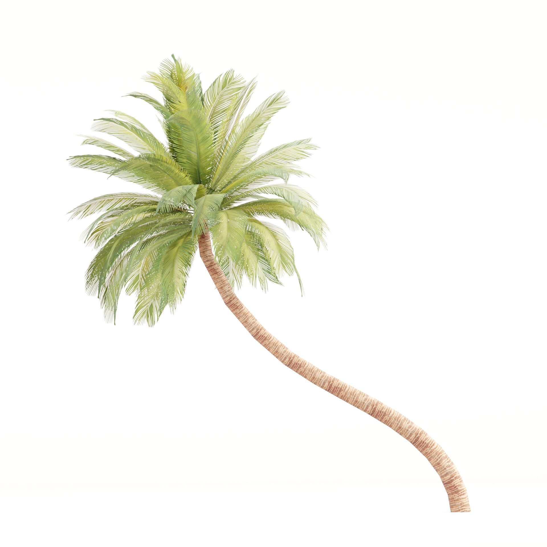 Low Poly Palm 3d Trees Collection Vol 280 Low-poly 3D model_2
