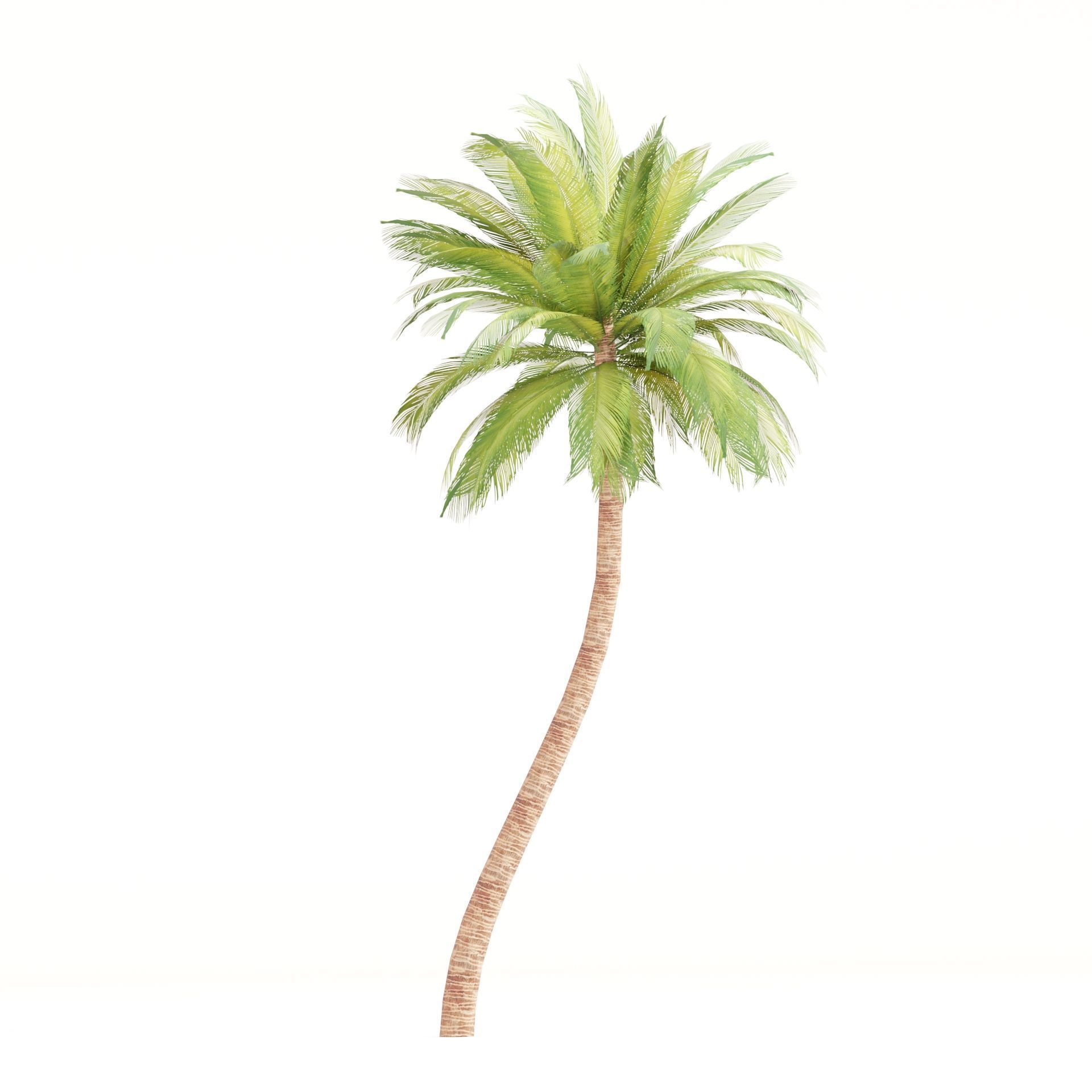 Low Poly Palm 3d Trees Collection Vol 280 Low-poly 3D model_4