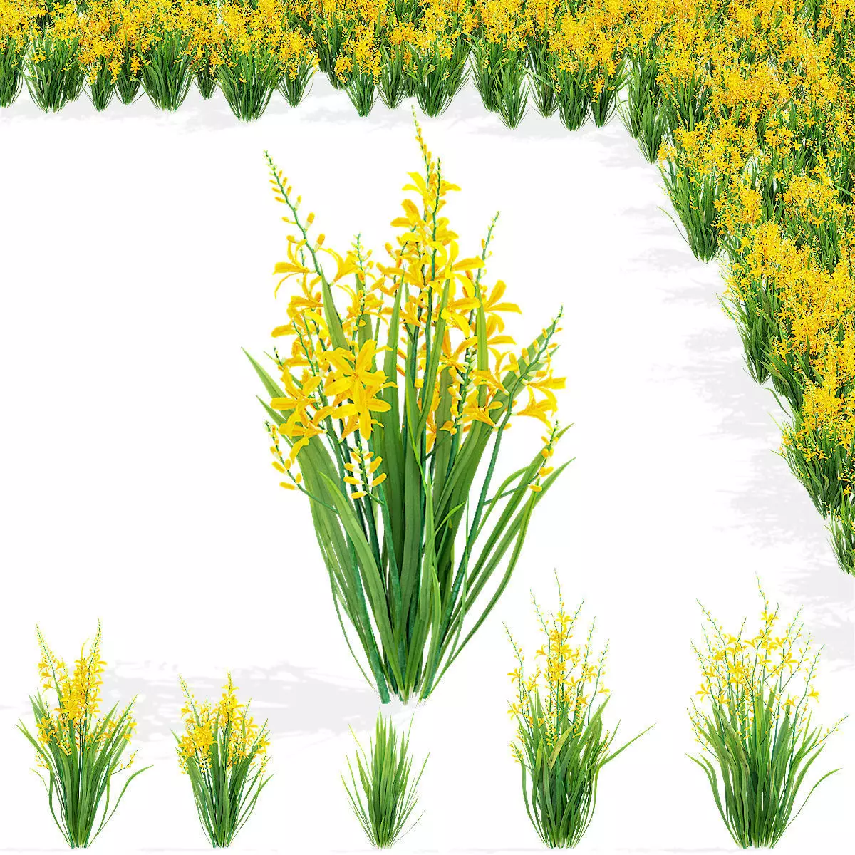 Crocosmia George Davidson flower 3D model