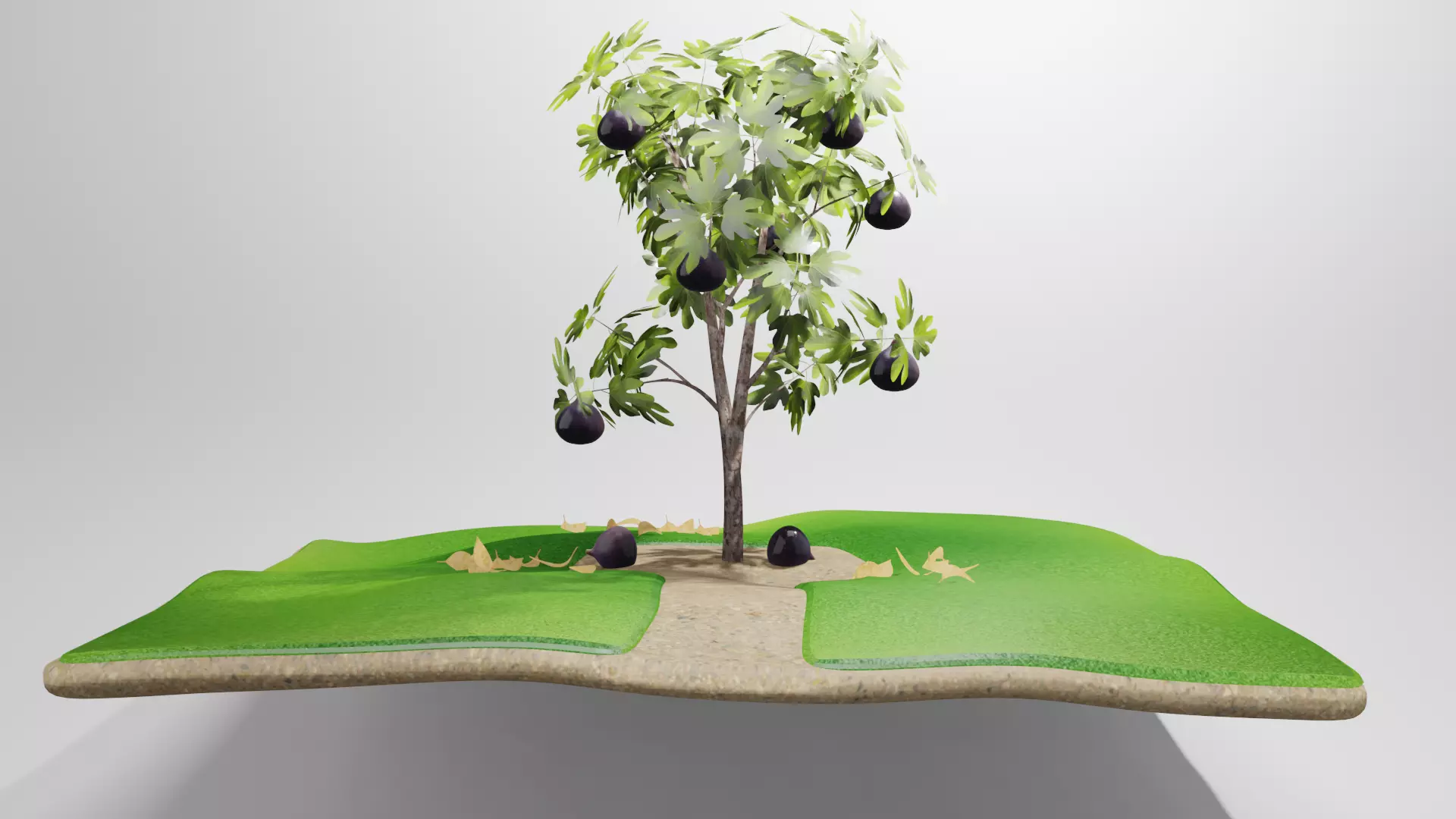 Fig Tree 3D model