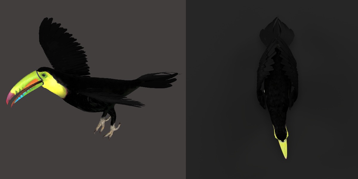 Toucan Bird Low-poly 3D model_26