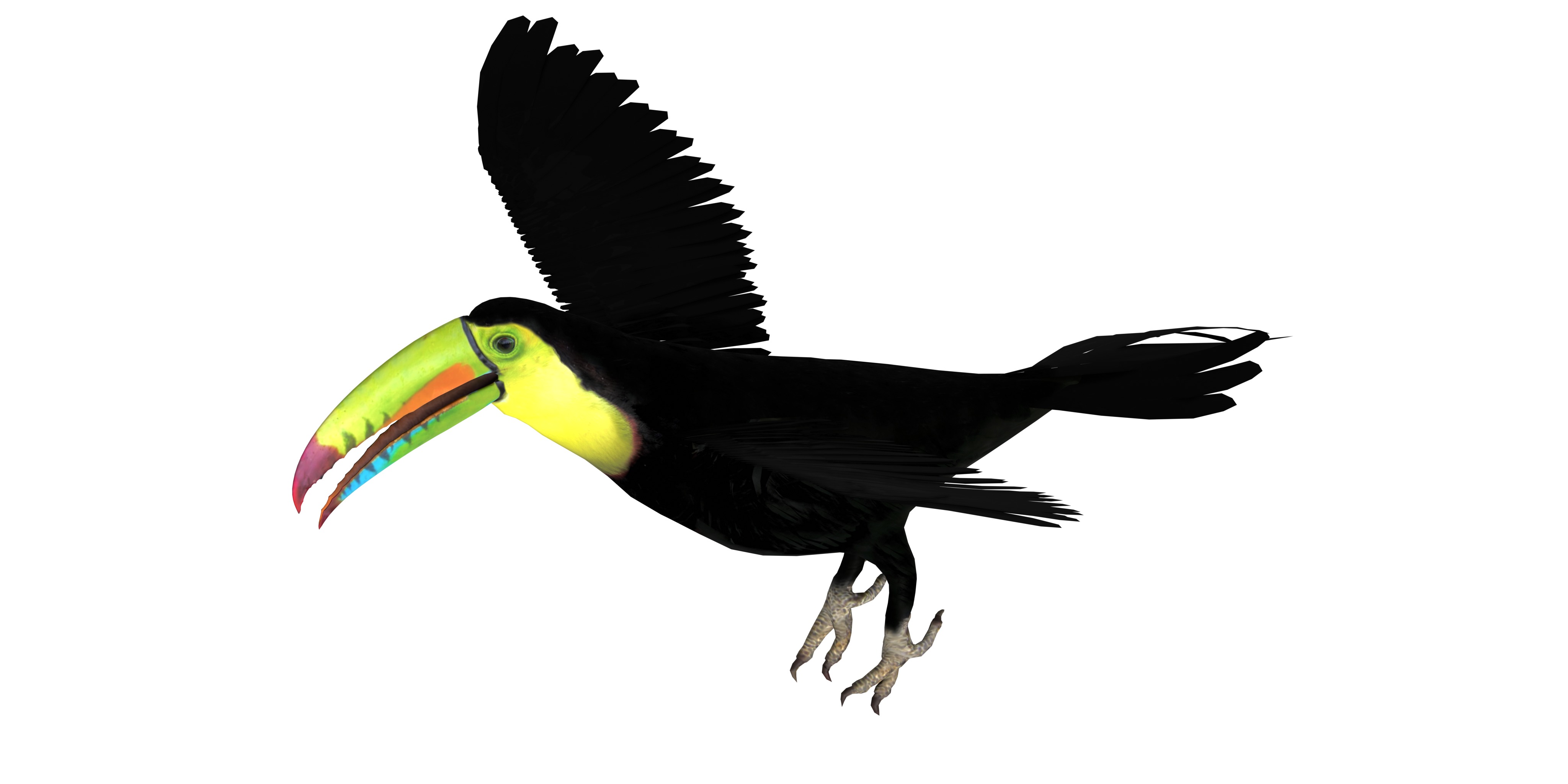 Toucan Bird Low-poly 3D model_3
