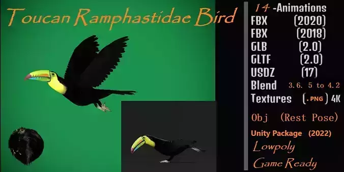 Toucan Bird Low-poly 3D model