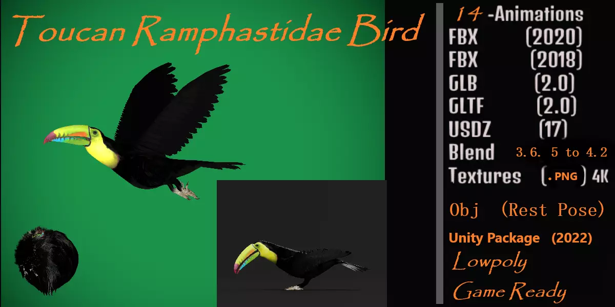 Toucan Bird Low-poly 3D model_0