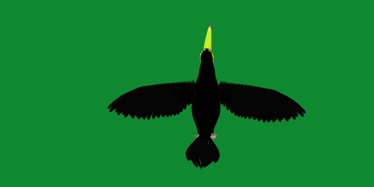 Toucan Bird Low-poly 3D model_21