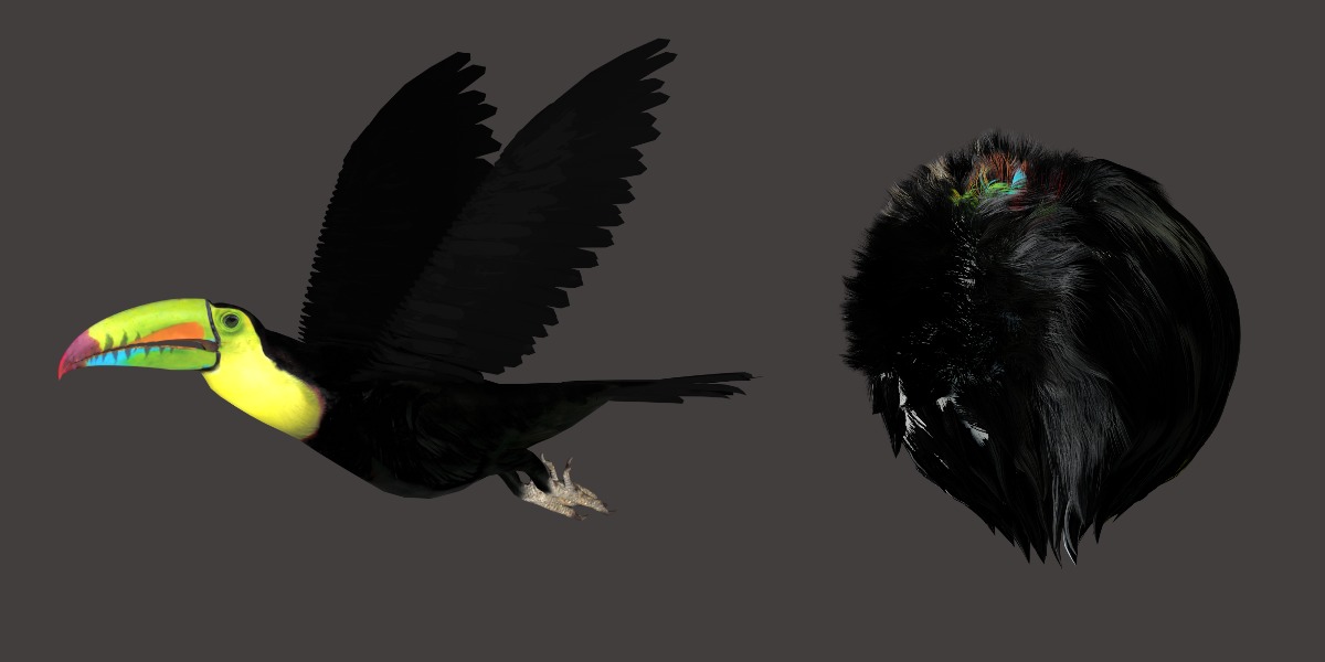 Toucan Bird Low-poly 3D model_6