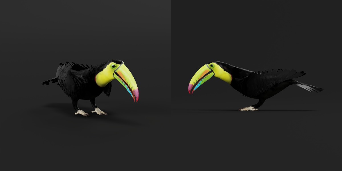 Toucan Bird Low-poly 3D model_25