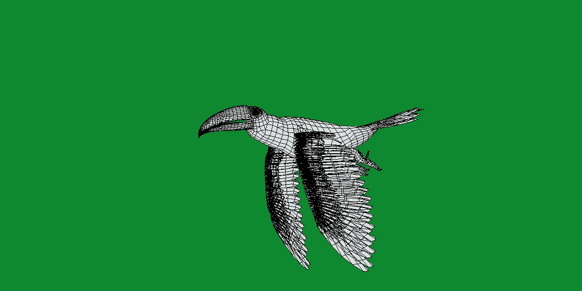 Toucan Bird Low-poly 3D model_13